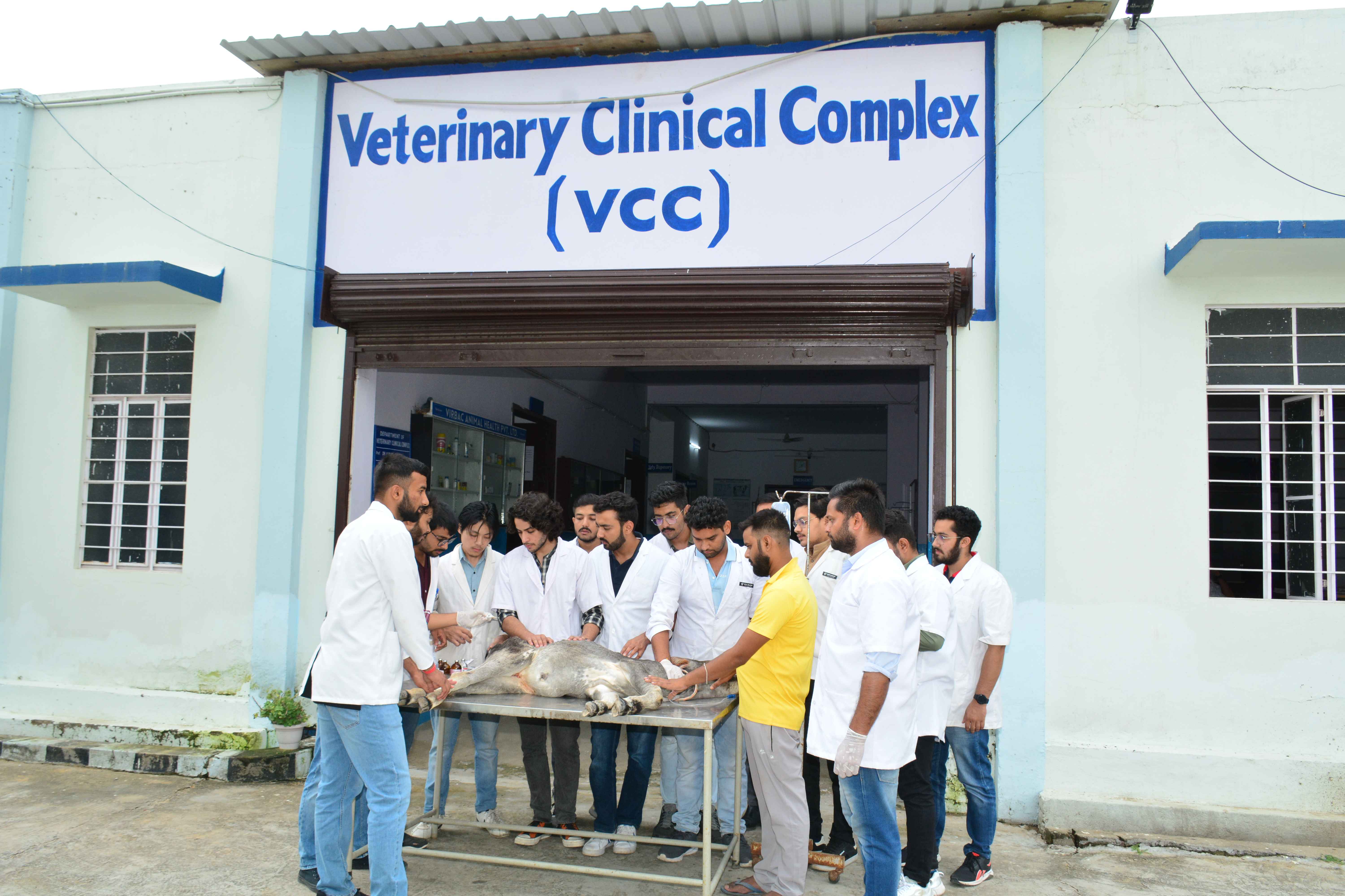 Veterinary Clinical Complex (VCC)
