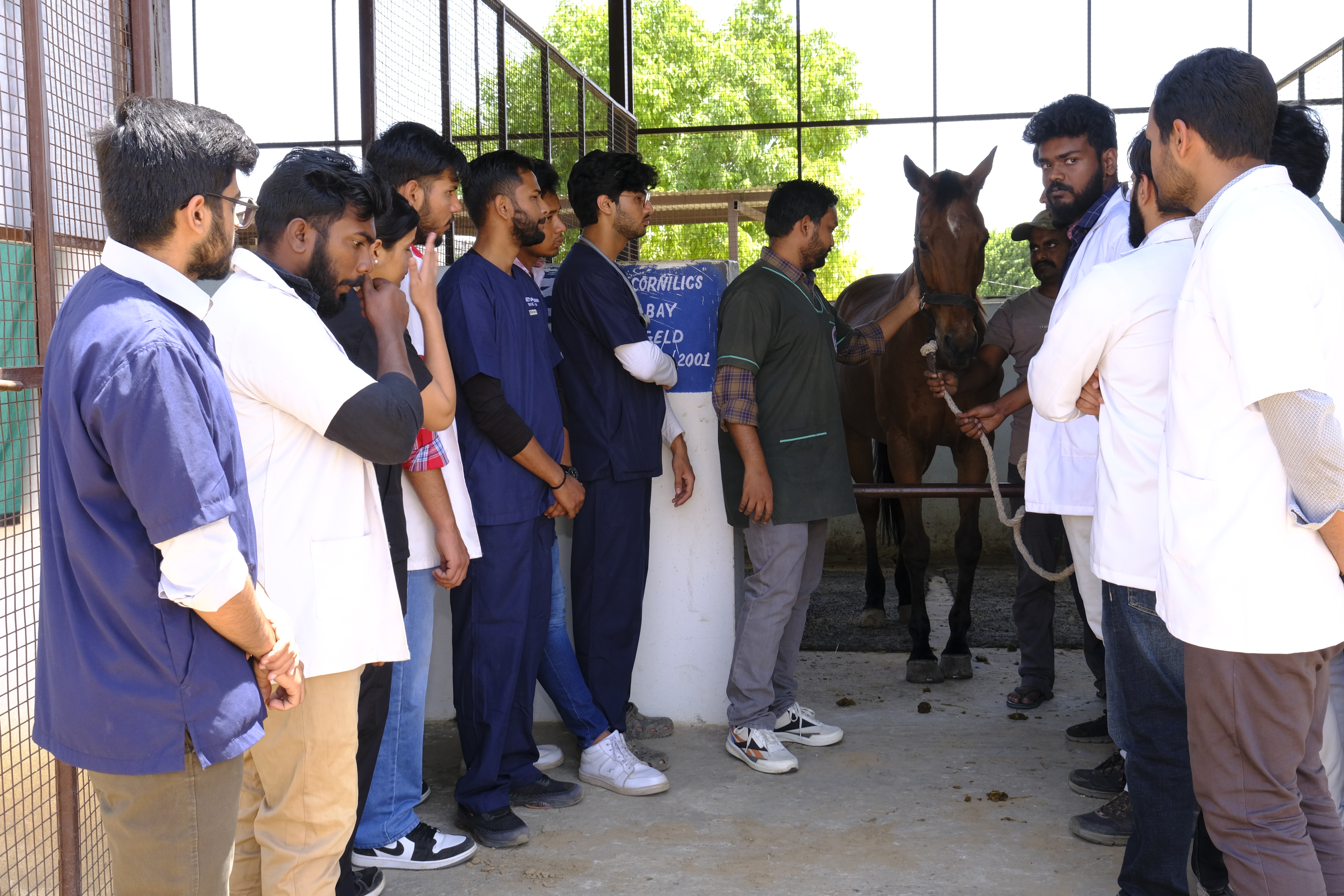 Livestock Production Complex (LFC)